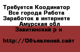 Требуется Коодинатор - Все города Работа » Заработок в интернете   . Амурская обл.,Завитинский р-н